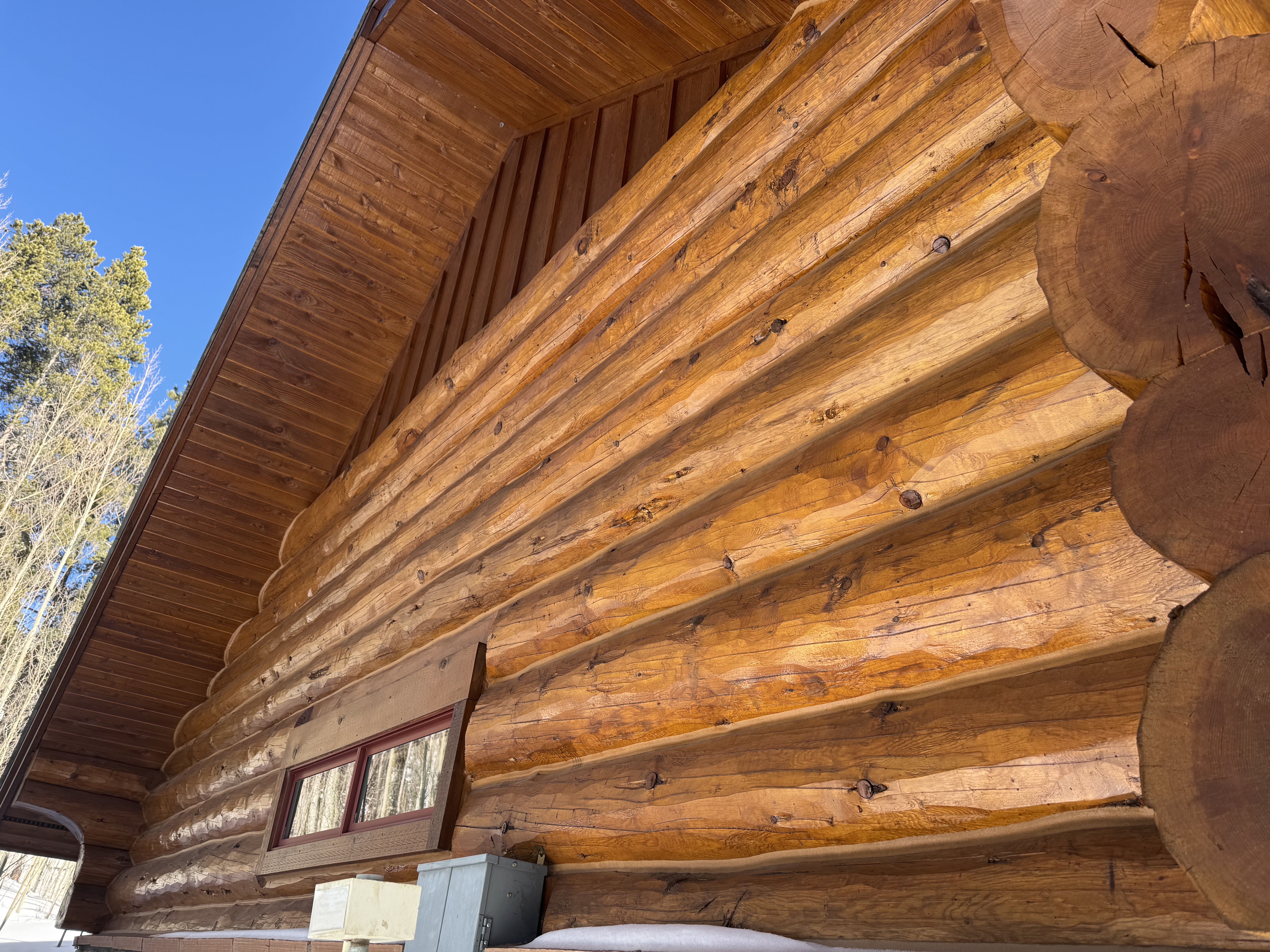 Before and after media blasting on log home